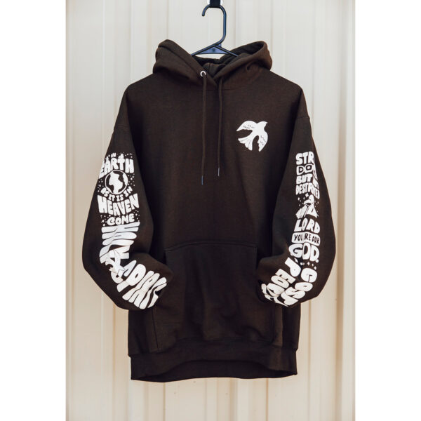 6031 1747853443 hoodie.jpg