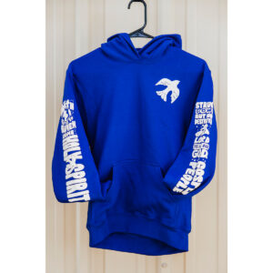 6033 1747853556 youth hoodie.jpg
